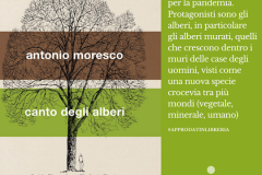 moresco_canto_alberi